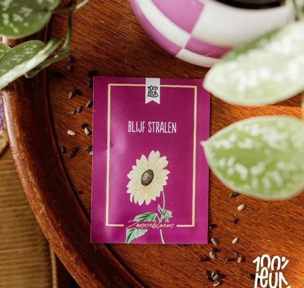 100% Leuk Bloemenzaadjes 'Blijf Stralen' Zonnebloem  (GR0361) - MerkenOutlet
