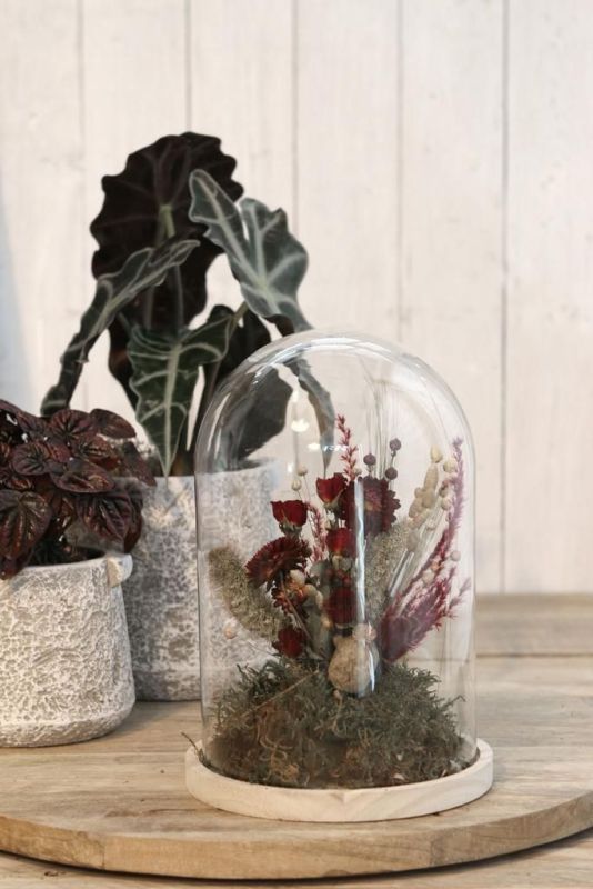 Ideas 4 Seasons Stolp Op Houten Basis  (29425) - MerkenOutlet