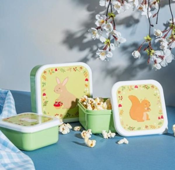 Sass & Belle Garden Friends Lunch Boxes - Set of 3  (MAXI064) - MerkenOutlet
